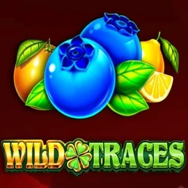 Play Wild Traces slot by Amusnet Interactive on wildfortune.dk